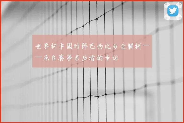 世界杯中国对阵巴西比分全解析——来自赛事亲历者的专访