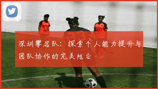 深圳攀岩队：探索个人能力提升与团队协作的完美结合