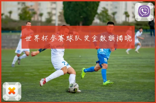 世界杯参赛球队奖金数额揭晓
