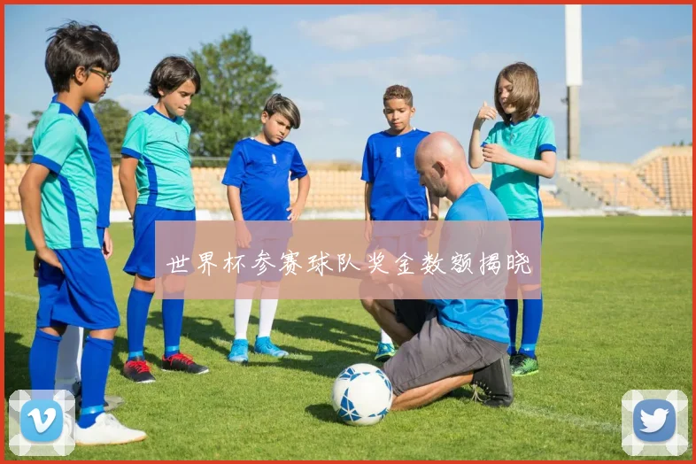 世界杯参赛球队奖金数额揭晓