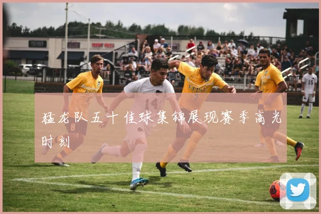 猛龙队五十佳球集锦展现赛季高光时刻