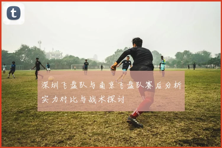 深圳飞盘队与南京飞盘队赛后分析实力对比与战术探讨