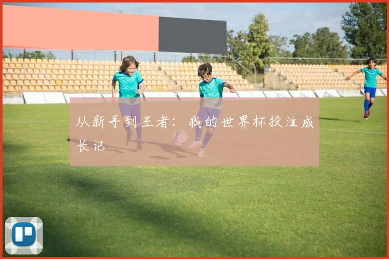 从新手到王者：我的世界杯投注成长记