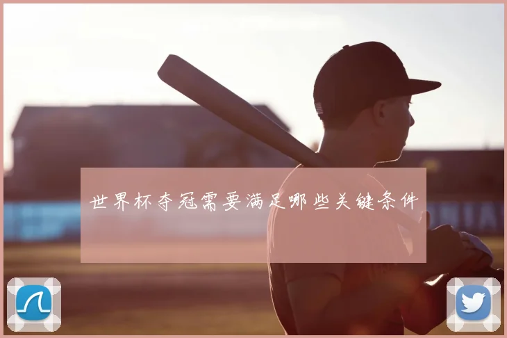 世界杯夺冠需要满足哪些关键条件