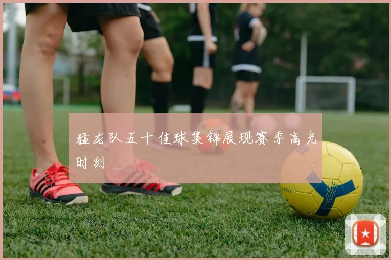 猛龙队五十佳球集锦展现赛季高光时刻