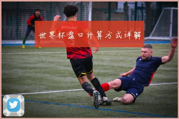 世界杯盘口计算方式详解