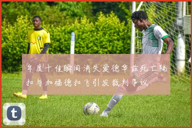 年度十佳瞬间消失爱德华兹死亡隔扣与加福德扣飞引发裁判争议