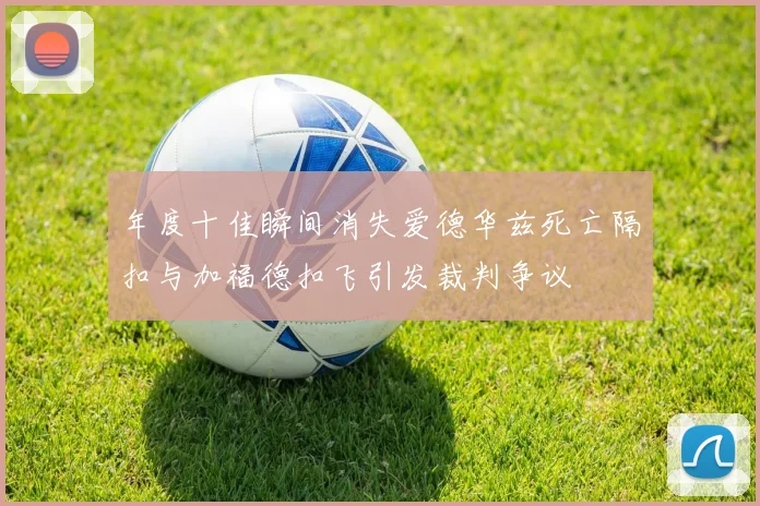 年度十佳瞬间消失爱德华兹死亡隔扣与加福德扣飞引发裁判争议