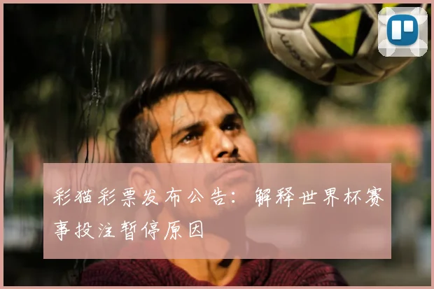 彩猫彩票发布公告:解释世界杯赛事投注暂停原因