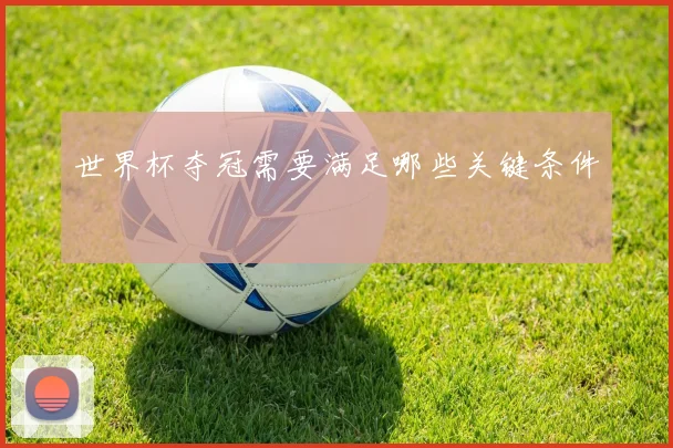 世界杯夺冠需要满足哪些关键条件