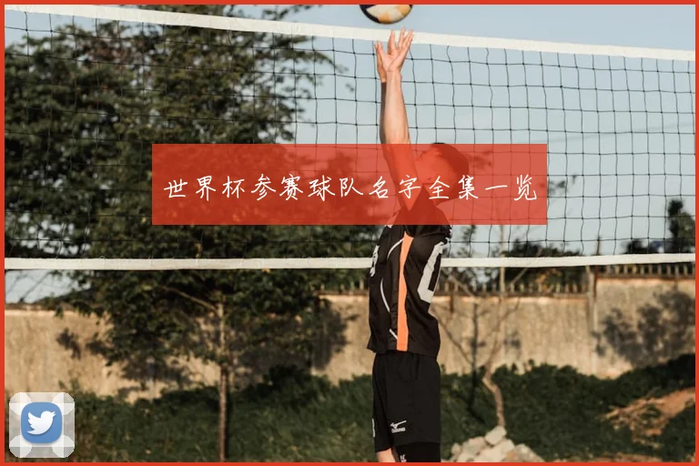 世界杯参赛球队名字全集一览