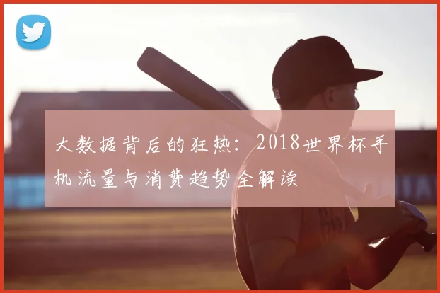 大数据背后的狂热:2018世界杯手机流量与消费趋势全解读