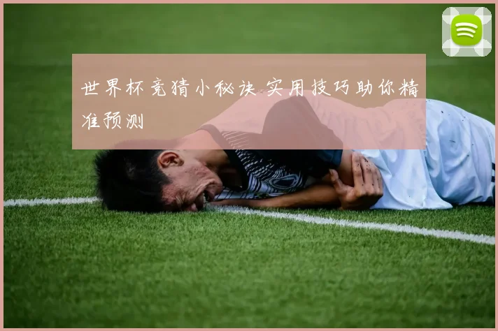世界杯竞猜小秘诀 实用技巧助你精准预测